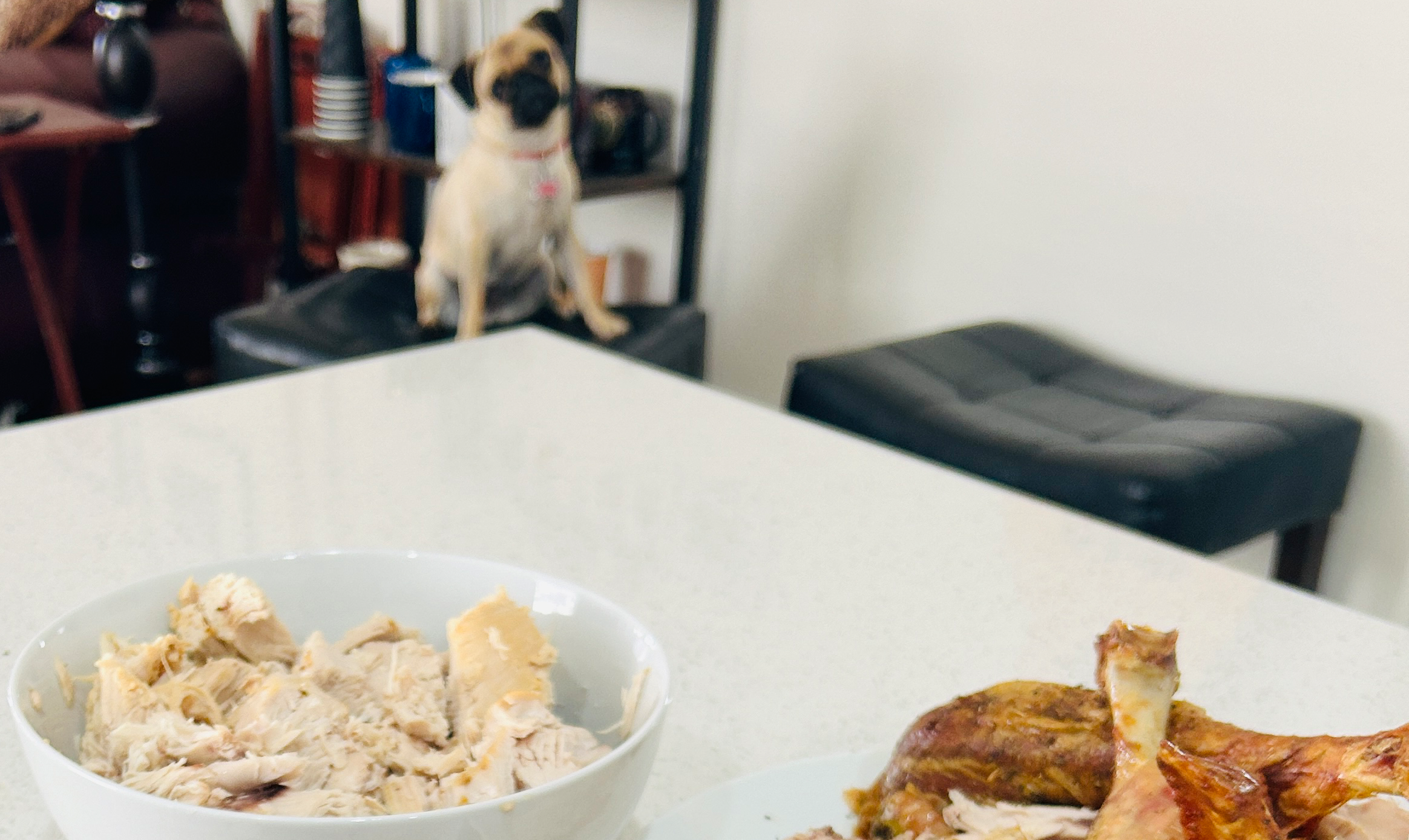 The Great Turkey Heist (A Thanksgiving Caper Starring Daisy the Pug)