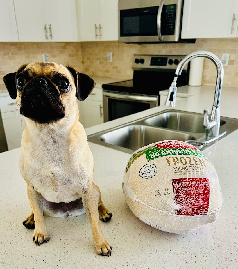 The Great Turkey Heist (A Thanksgiving Caper Starring Daisy the Pug)